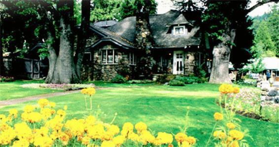 Strawberry Valley Inn Маунт-Шаста Екстер'єр фото
