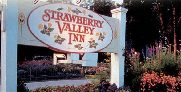 Strawberry Valley Inn Маунт-Шаста Екстер'єр фото